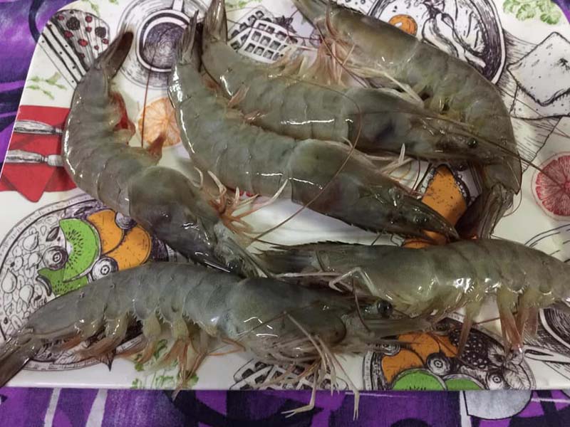 Vaishnavi-Aquatech-Shrimp